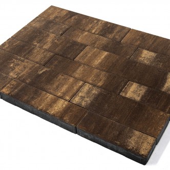 chestnut_2 (1)